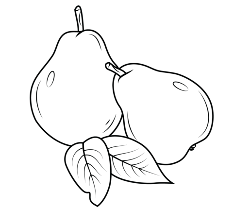 Two Pears Coloring Page